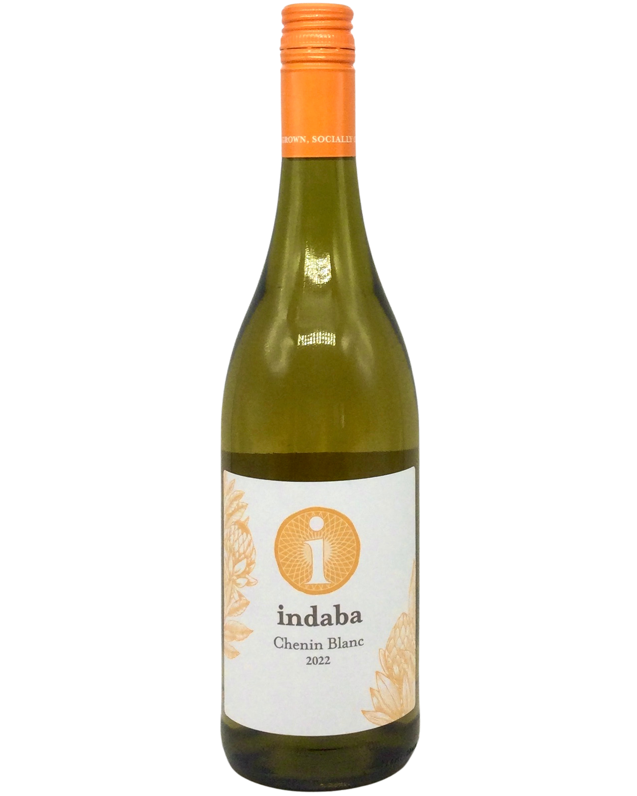 Indaba, Chenin Blanc, Western Cape, South Africa 2022 newarrival vegan