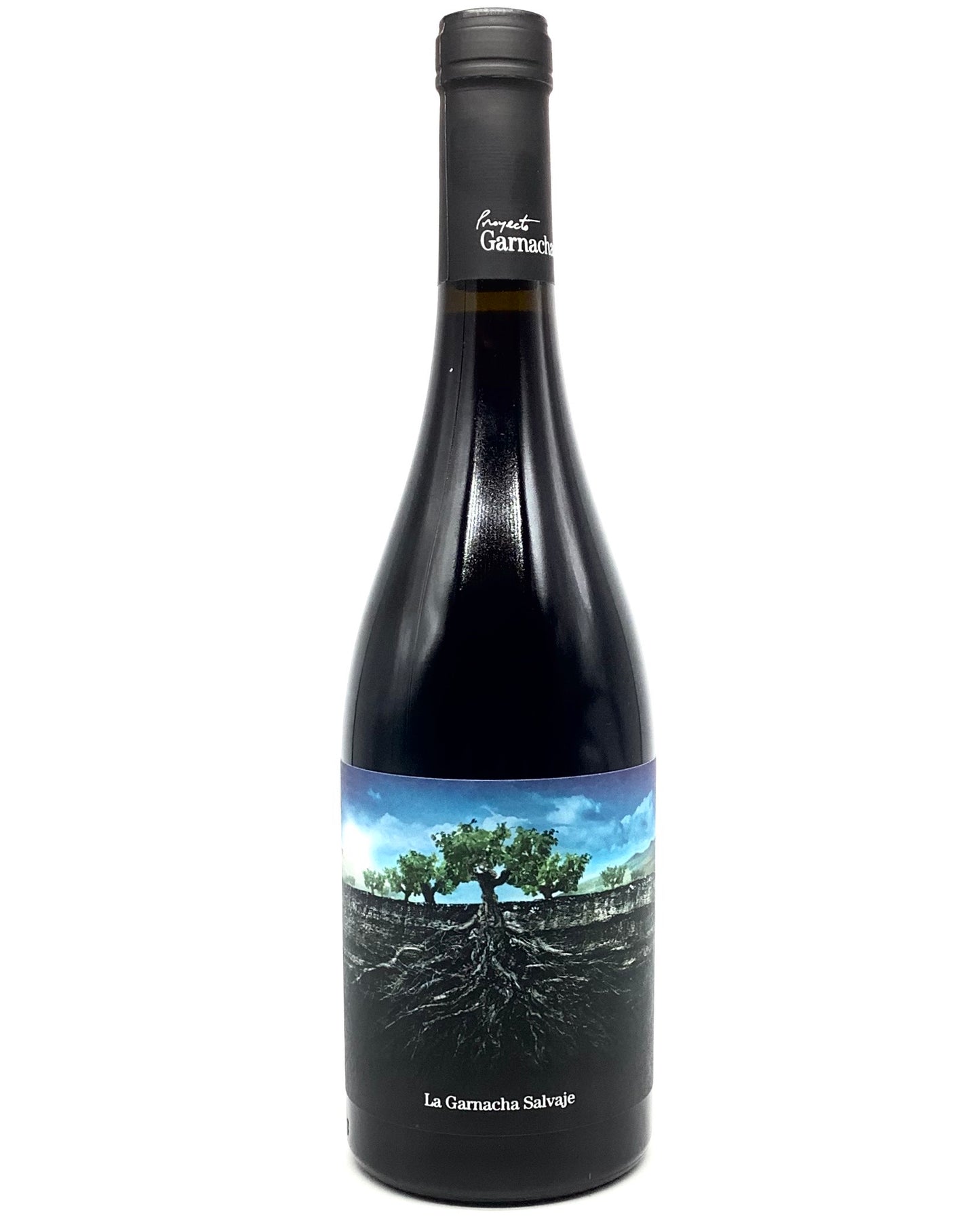 Proyecto, Garnacha, Salvaje del Moncayo, Spain 2022 certifiedorganic organic vegan