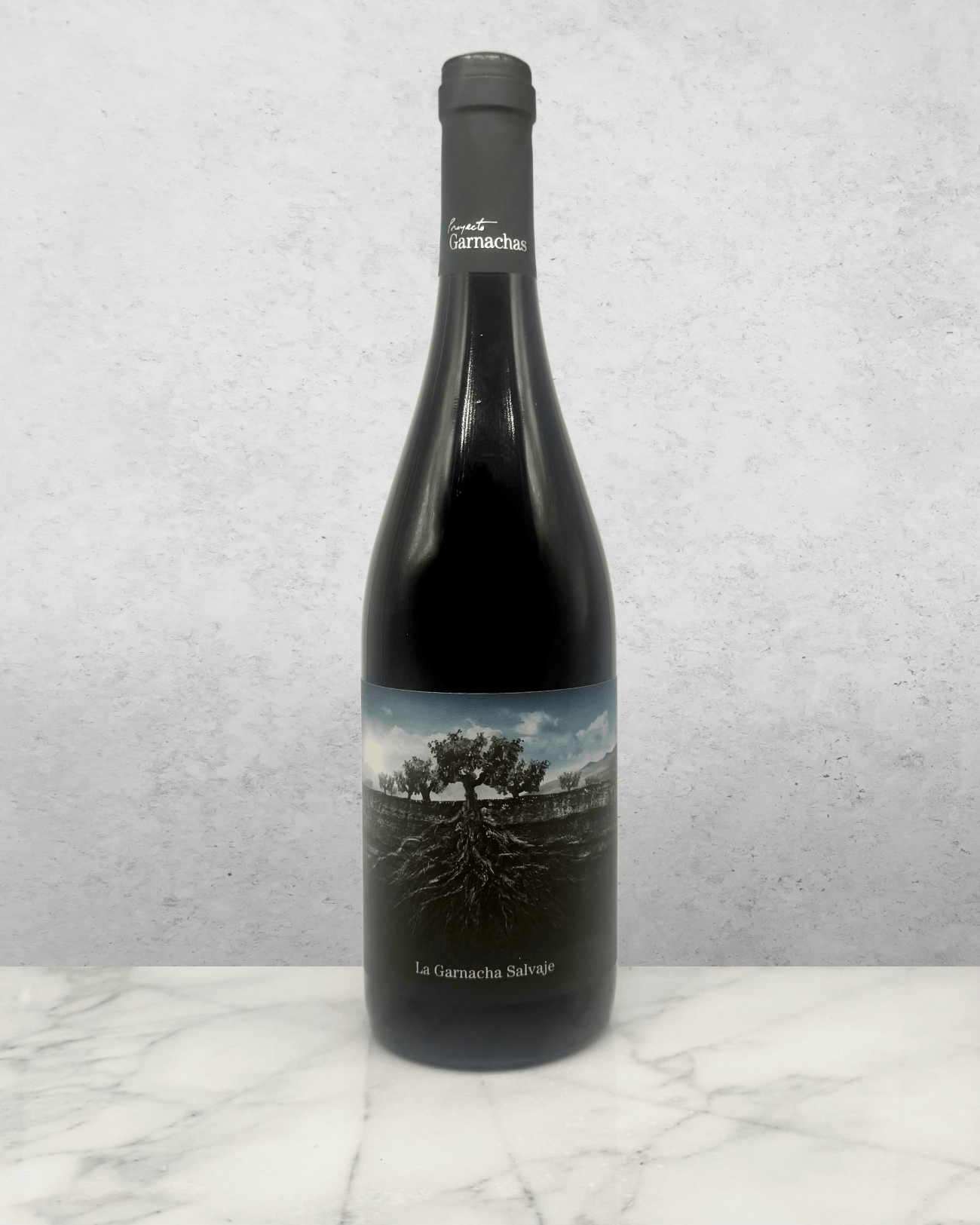 Proyecto, Garnacha, Salvaje del Moncayo, Spain 2022 certifiedorganic organic vegan
