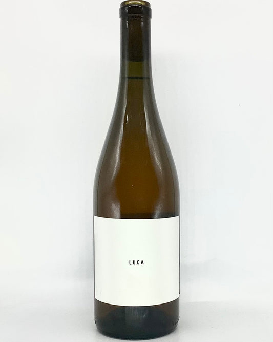 Wild Arc Farms, Traminette "Luca" Finger Lakes, New York 2023 certifiedorganic newarrival orange organic skincontact