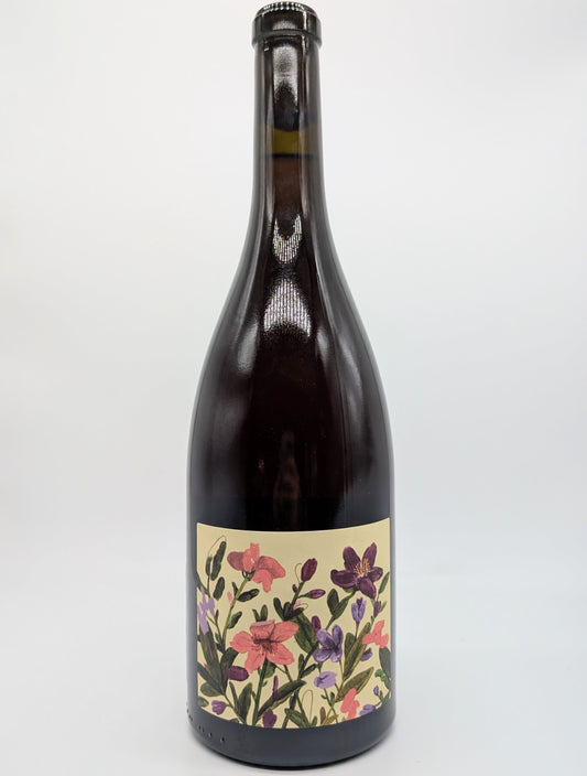 Terrevive "Bergianti Olivia" Rosato dell’Emilia IGT Sur-Lí, Capri, Emilia-Romagna, Italy NV newarrival